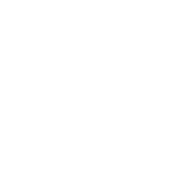 Icon for CO CURRICULAR ACTIVITIES